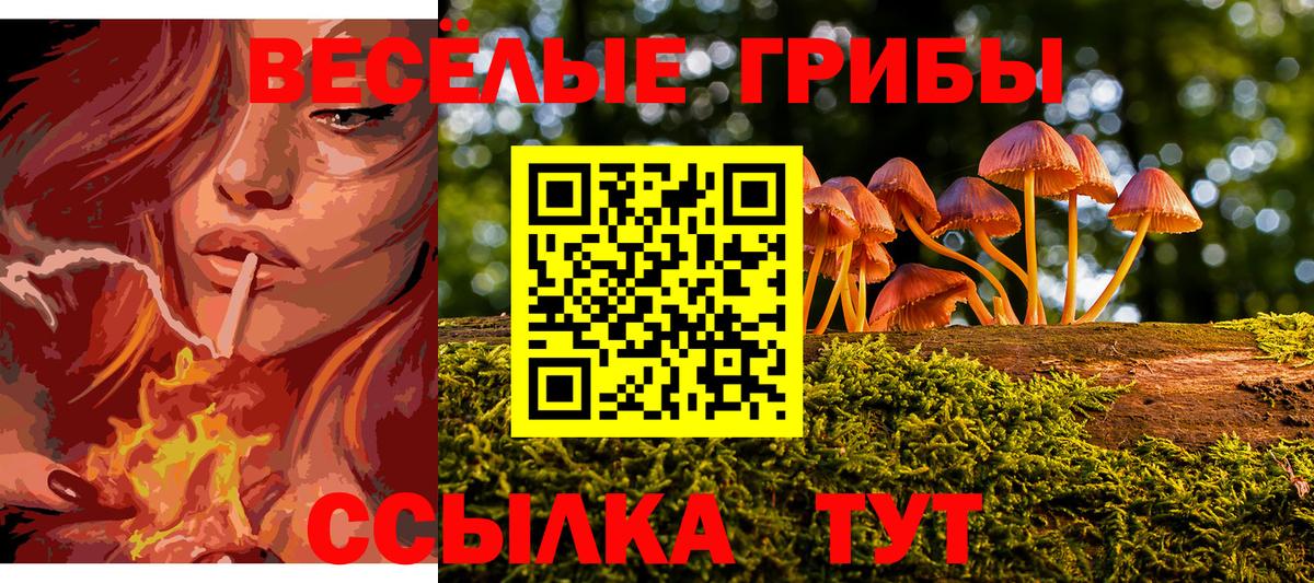 Галлюциногенные грибы мухоморы Сочи