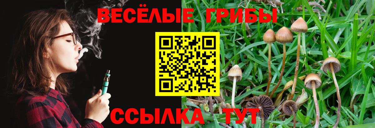 Псилоцибиновые грибы GOLDEN TEACHER  Вход с VPN  Сочи  закладка  Псилоцибиновые грибы Magic Shrooms 